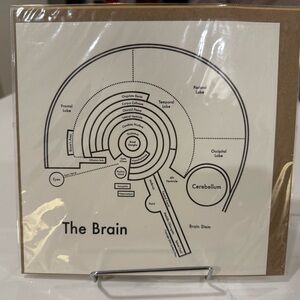 Archie’s Press “The Brain” Letterpress Art Print — NEW / Sealed